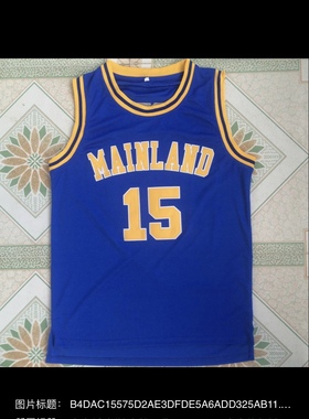 高中版 文斯.卡特15号MAINLAND高中蓝色刺绣球衣训练服