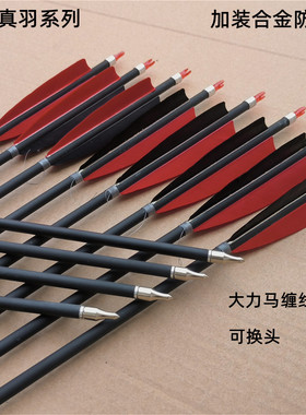 真羽混碳弓箭支传统反曲美猎箭防追尾弓箭射击射箭运动比赛弓箭支
