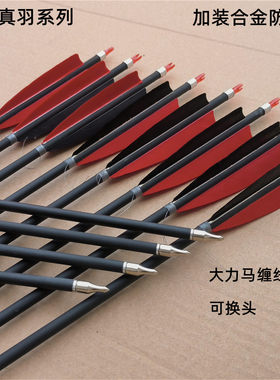 混碳真羽箭防爆环5英寸羽可换头