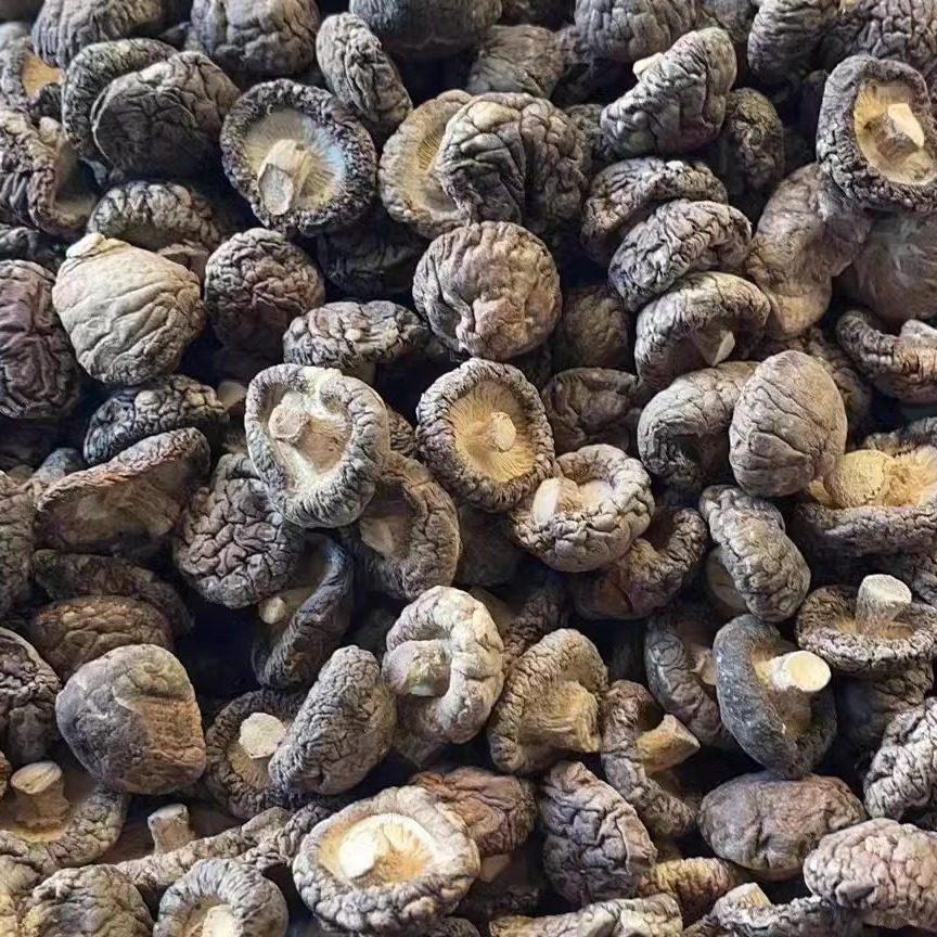 【年货节福利】福建香菇肉厚中号菇味道香,粮油调味/速食/干货/烘焙,香菇类,淘宝优惠券,粉丝福利购,淘宝优惠卷