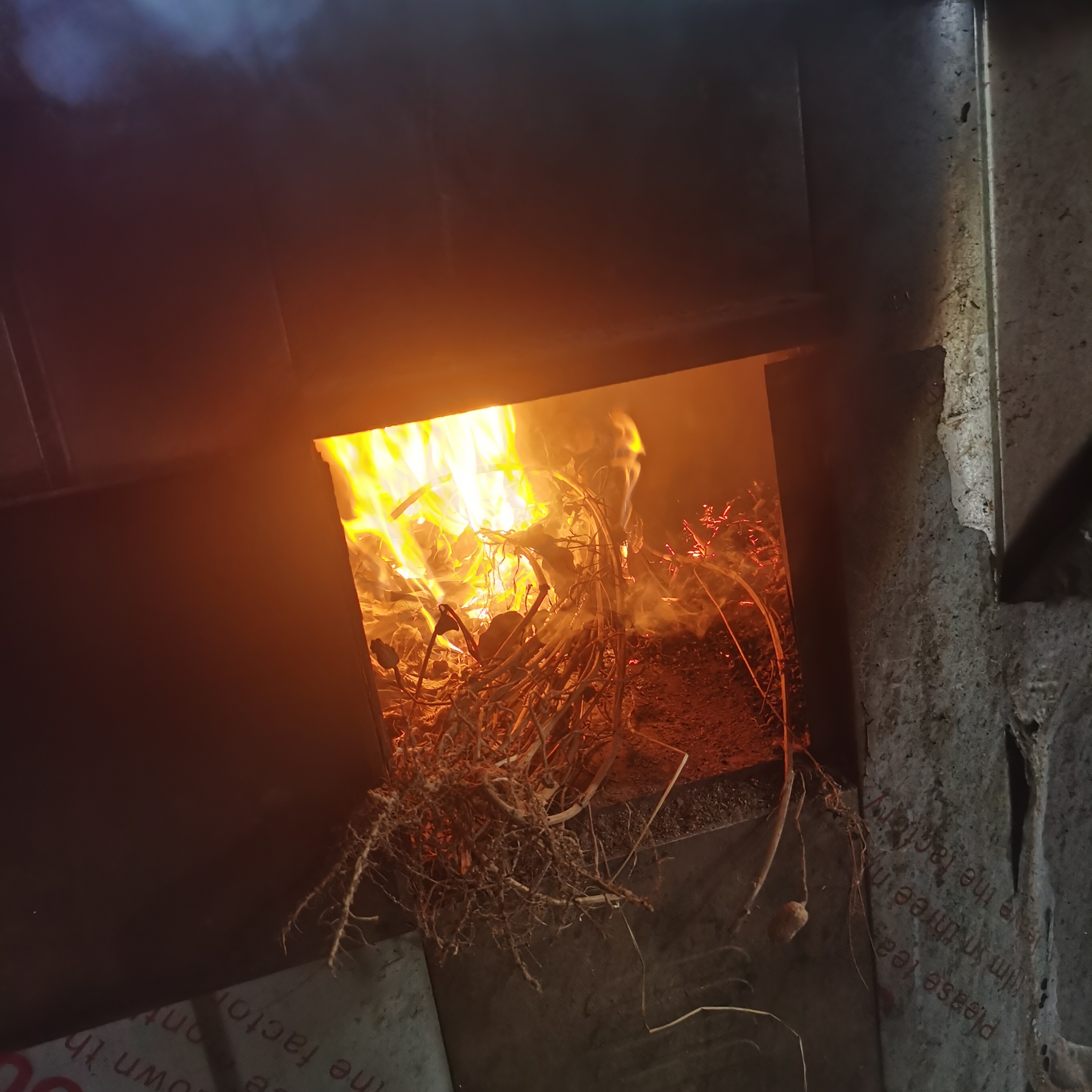 【小徐推荐】 炒熟黑芝麻  罐装