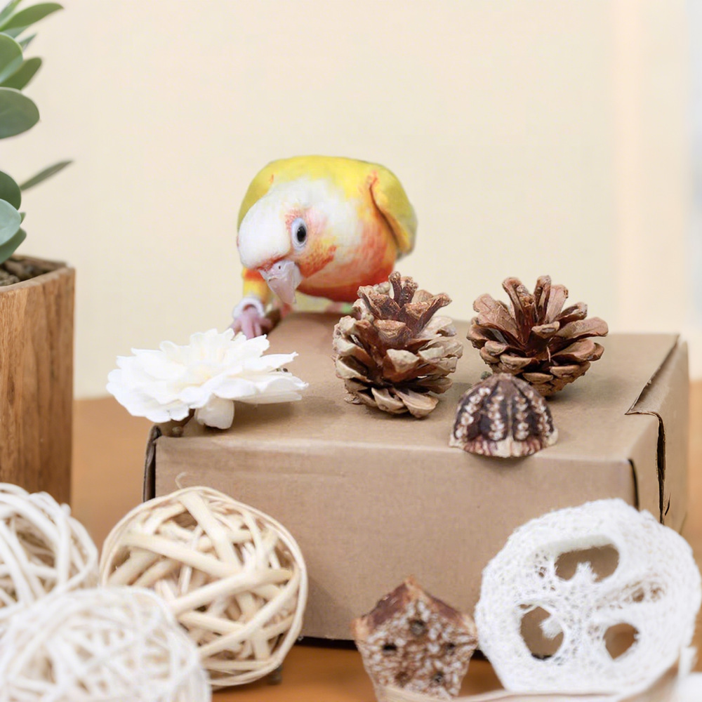 爆款圣诞装饰跨境组合天然通草球拉菲草藤球永生花松塔丝瓜络杨桃