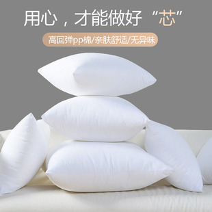 2023新款抱枕芯45x45cm一个装床上靠枕芯沙发抱枕芯内胆方形高端