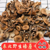 包邮 东北野生榛蘑新货小鸡炖蘑菇干货香菇爆款 500g 食用农产品菌类