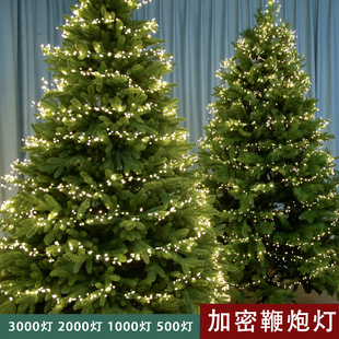 加密韩国圣诞树LED鞭炮灯3000头绿线铜丝灯串新年圣诞节装饰花环