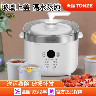 天际炖炖锅超大蒸汽隔水家用煲汤