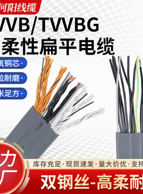 河阳TVVBG扁平电梯线缆带钢丝