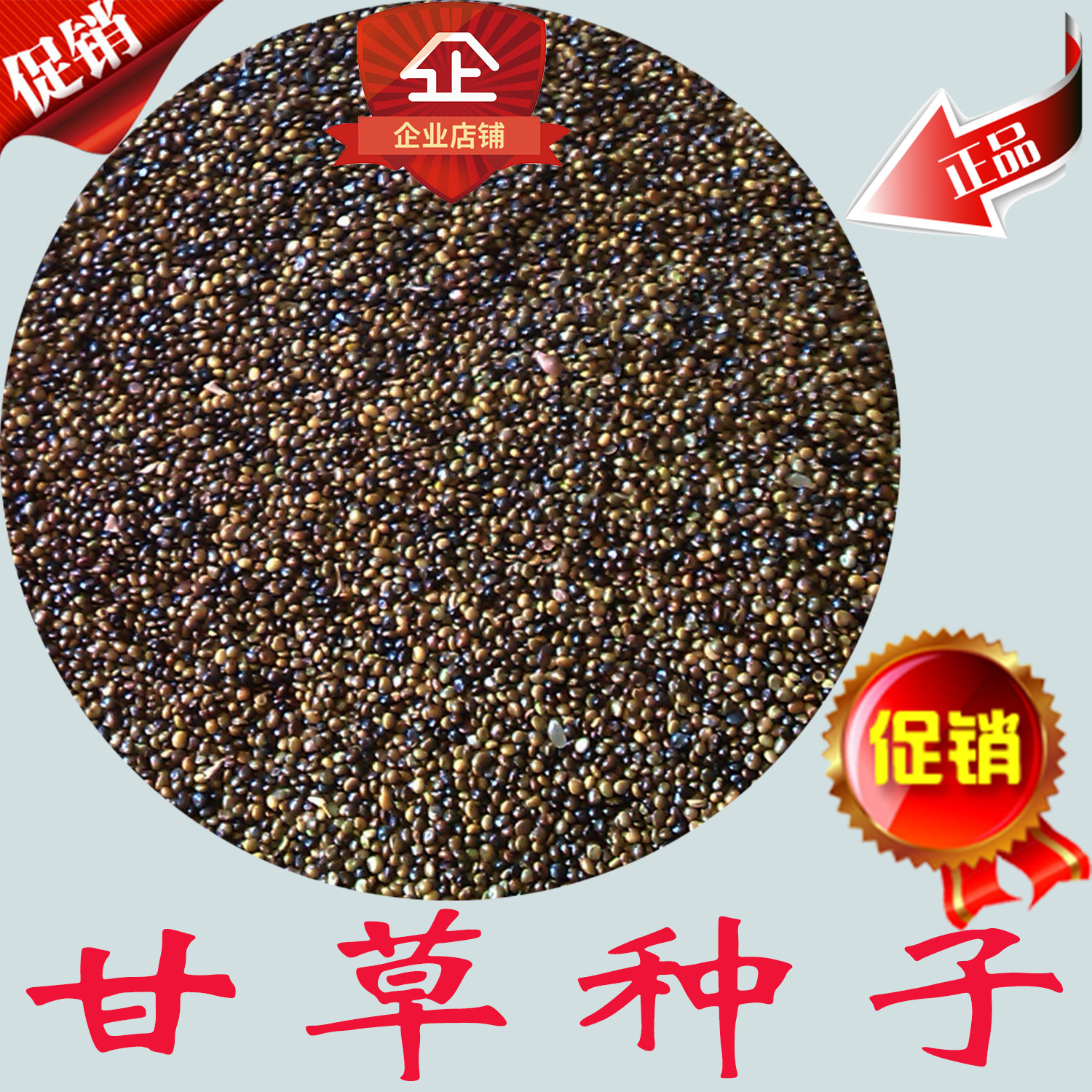 优质 甘草种子 红皮甘草 红皮甘草种子 甘草籽 甘草 甜草 甜根子