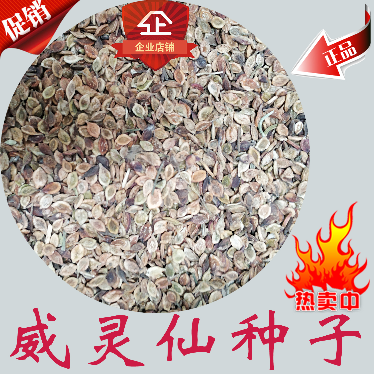 威灵仙种子 威灵仙籽 威灵仙苗  铁脚铁线莲 铁脚灵仙种子 威灵仙