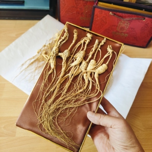 初级农产品林下野播籽山参顺丰包邮