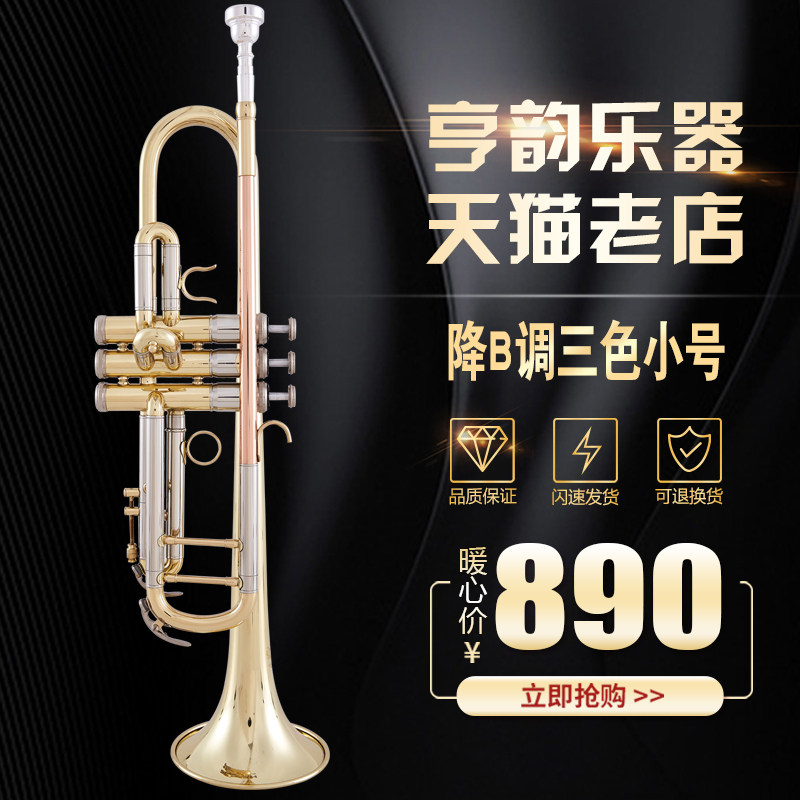 亨韵乐器降B调小号双立柱小号磷铜哨管带限位小号音色保证包邮