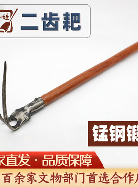 二齿耙二牙农用挖地铁耙子除草神器铁齿耙考古勘探农具锰钢孙清娃