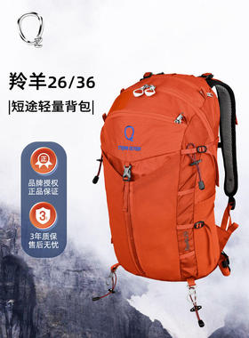 强氧24新款登山包羚羊系列26L36L户外野营露营背包徒步装备双肩包