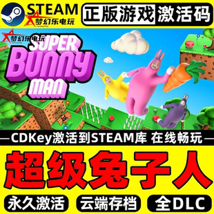 正版 Bunny Steam激活码 Super Man全DLC游戏 CDKey入库 超级兔子人