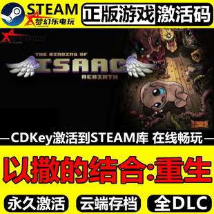 全DLC动作类 以撒 CDKey入库 Steam激活码 Rogue游戏 结合重生正版