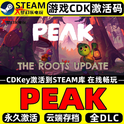 PEAK拉我一把Steam激活电脑游戏