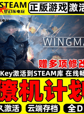 僚机计划 正版Steam激活码CDKey入库 Project Wingman 全DLC游戏