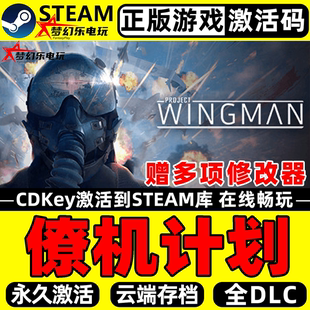 正版 Wingman Steam激活码 Project 全DLC游戏 CDKey入库 僚机计划