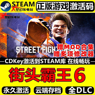 Steam正版 Fighter 激活码 Street 6全DLC游戏 CDKey入库 街头霸王6