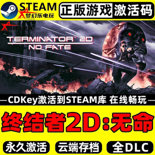 终结者2D无命 正版Steam激活码CDKey入库 Terminator 2D: NO FATE