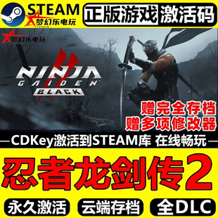 忍者龙剑传2黑之章 Steam CDKey激活码NINJA GAIDEN 2 Black 游戏
