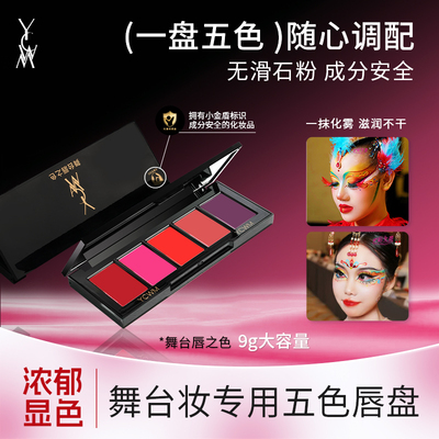 艺彩文墨新款小金盾五色口红盘舞台高饱和显色提亮化妆师专用