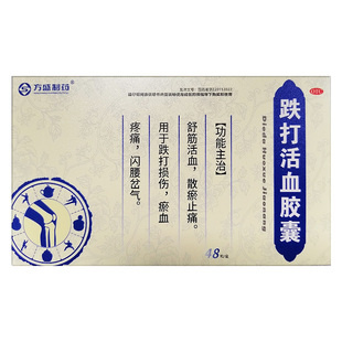 方盛堂 跌打活血胶囊 48粒 湖南方盛