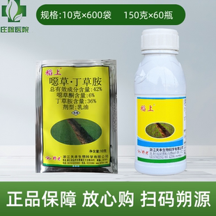 野老稻上噁草丁草胺水稻秧田直播田封闭除草剂