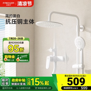 家用卫生间淋浴花洒 政府补贴15% 法恩莎花洒套装 可升降挂墙式