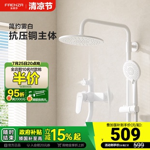 家用卫生间淋浴花洒 政府补贴15% 法恩莎花洒套装 可升降挂墙式