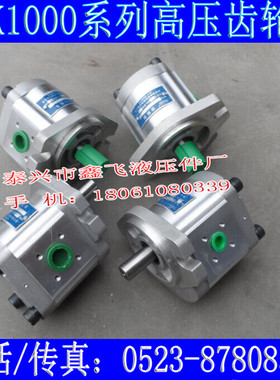 CBK1012 CBK1016 CBK1020 CBK1025-B1FR B1FL A1FR B1FR齿轮泵