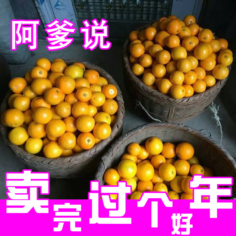 麻阳冰糖橙现摘新鲜发出