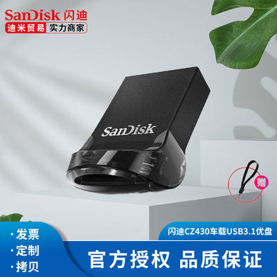 高速迷你存储卡U盘Sandisk/闪迪