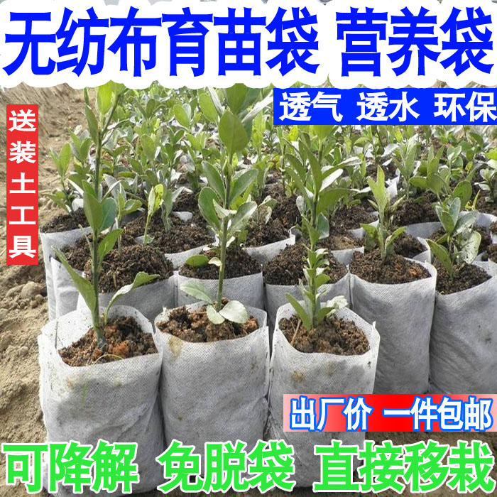 无纺布育苗袋营养袋澳洲坚果袋杉木植树袋营养钵营养杯加厚定做