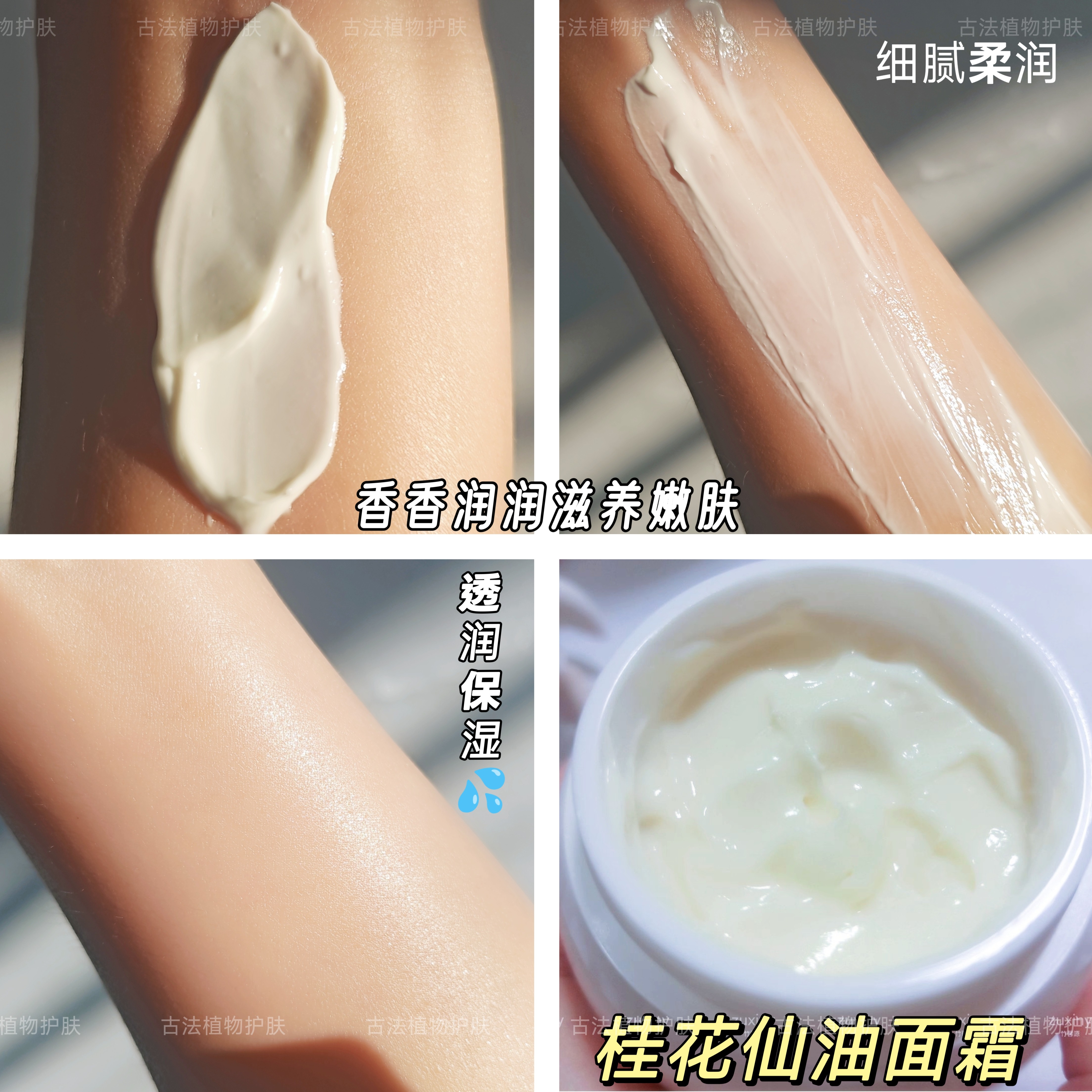 「桂花沁香」 仙油护敏芳疗面霜 缓皱亮肤保湿透润细腻植物大干皮