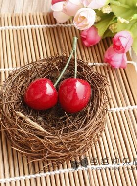 鸟巢拍摄背景布复古道具