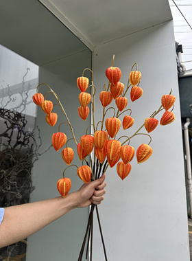仿真蜂巢果 葱球绣球花假花客厅餐桌摆件装饰插花蒲公英仿真花