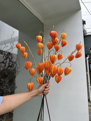 仿真蜂巢果 葱球绣球花假花客厅餐桌摆件装饰插花蒲公英仿真花