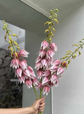 法式风铃 假花束客厅桌面摆件插花永生花拍照布景装饰品