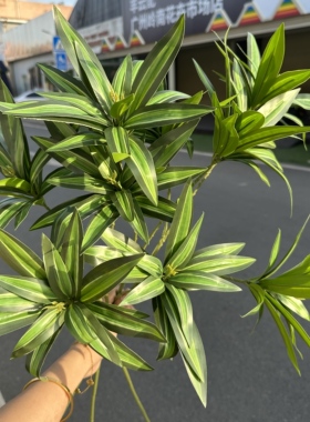 仿真百合竹子假花绿植盆景盆栽室内装饰软装绿叶美陈花材叶材酒店