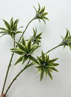 3叉金边百合竹 仿真绿植手感胶片布造景装饰花紫露草高品质叶材