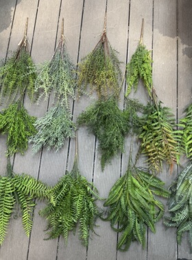 仿真蕨草软胶波斯草海金沙铁线蕨天门冬排草蕨高档仿真植物假花