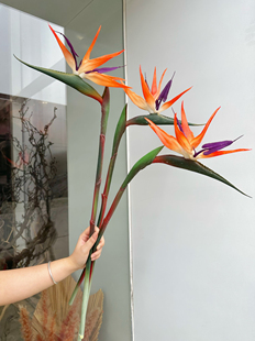 天堂鸟 软胶新中式家居样板间装饰设计 境外婚庆摄影仿真花