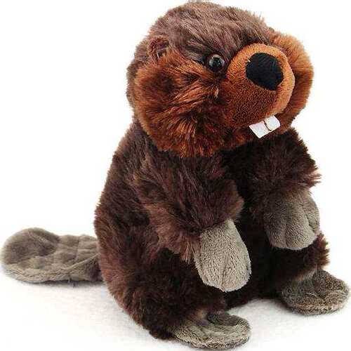 （代购）美国wild republic仿真小号河狸beaver毛绒玩具plush toy