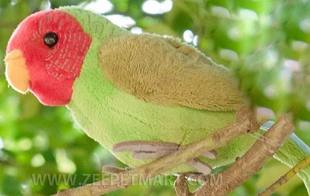 faced 仿真桃脸牡丹鹦鹉rosy lovebird毛绒玩具公仔 代购