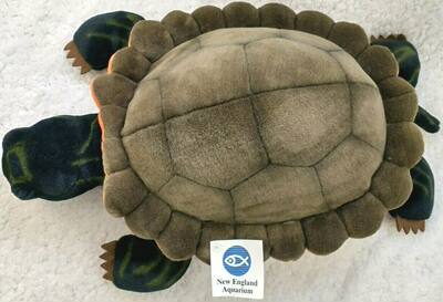 （代购）美国wildlife artists仿真锯缘陆龟tortoise毛绒玩具公仔