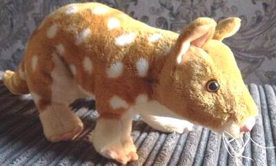 （定做）仿真澳大利亚东部袋鼬eastern quoll毛绒玩具公仔