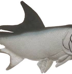 （定做）仿真大海鲢tarpon毛绒玩具公仔