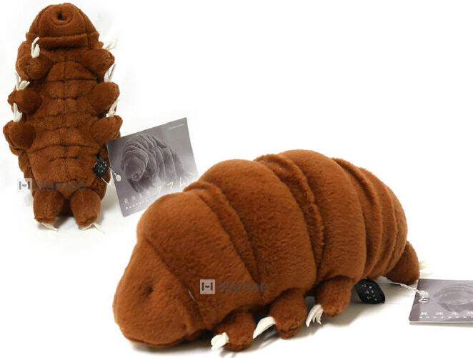 (定做)仿真水熊虫water bear毛绒玩具公仔
