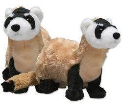 （现货+包邮）WWF世界自然基金会仿真黑足鼬ferret毛绒玩具公仔